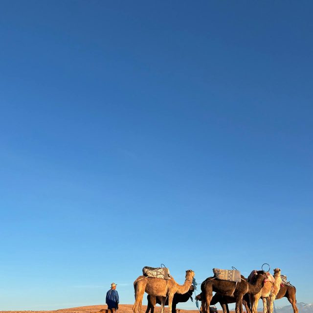 Imlil Day Trip from Marrakech