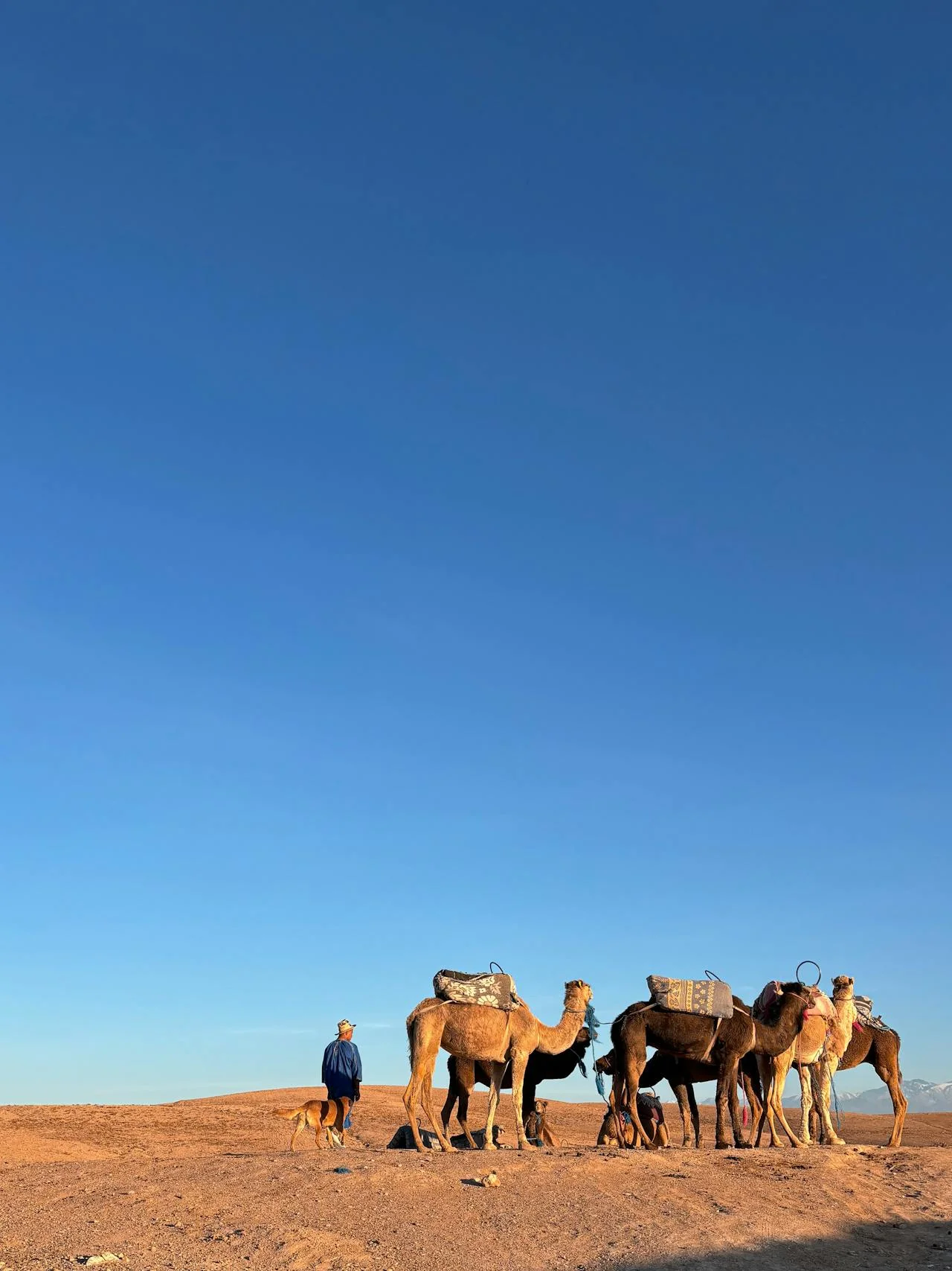 Imlil Day Trip from Marrakech